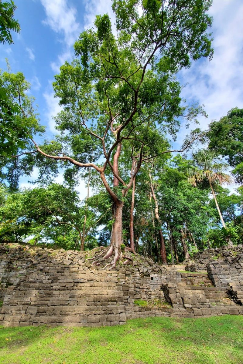 archaeological-sites4