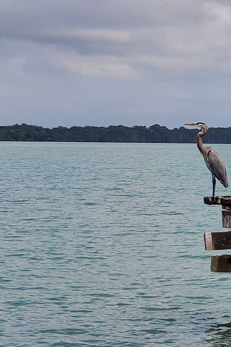 cayes-and-fishing6